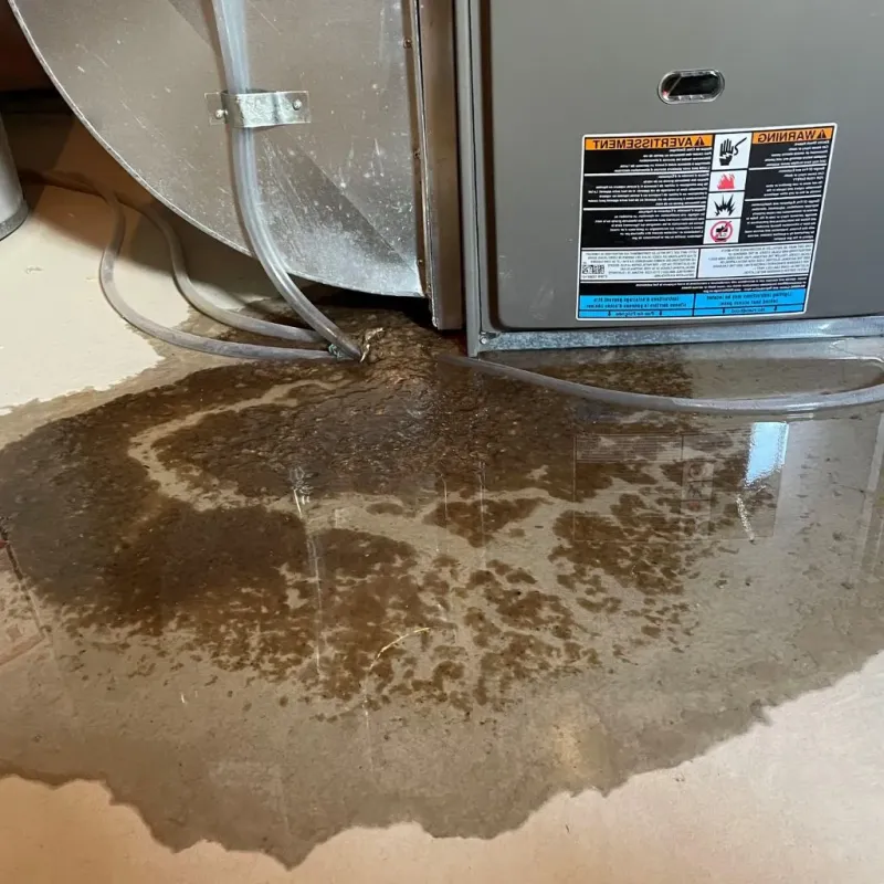 Pipe Burst and Leak Restoration in Butner, NC